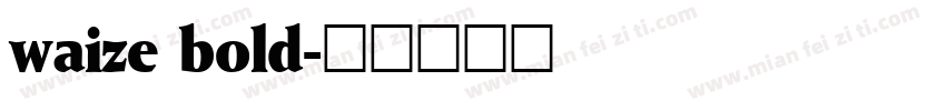 waize bold字体转换